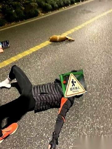 杭州龙井路，晚上8点多，一个骑行小哥正放坡往下冲。突然，一头黄麂窜了出来。人