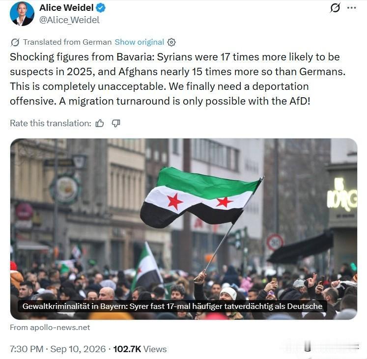 德国AFD领袖AliceWeidel发布非法移民犯罪的惊人数据。：巴伐利亚州