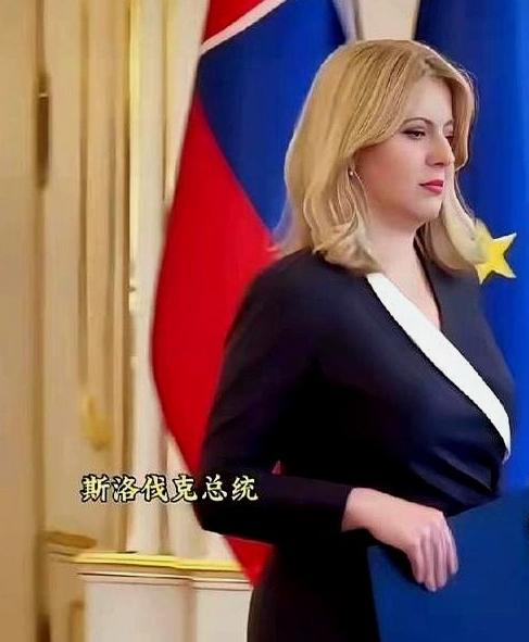 斯洛伐克有个女总统，叫恰普托娃。但她干过最硬的一件事，跟总统半毛钱关系没有。