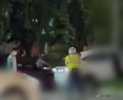 46岁的家庭顶梁柱，又没喝酒，为何挥拳打向了交警？看了海口那个司机打交警的新闻