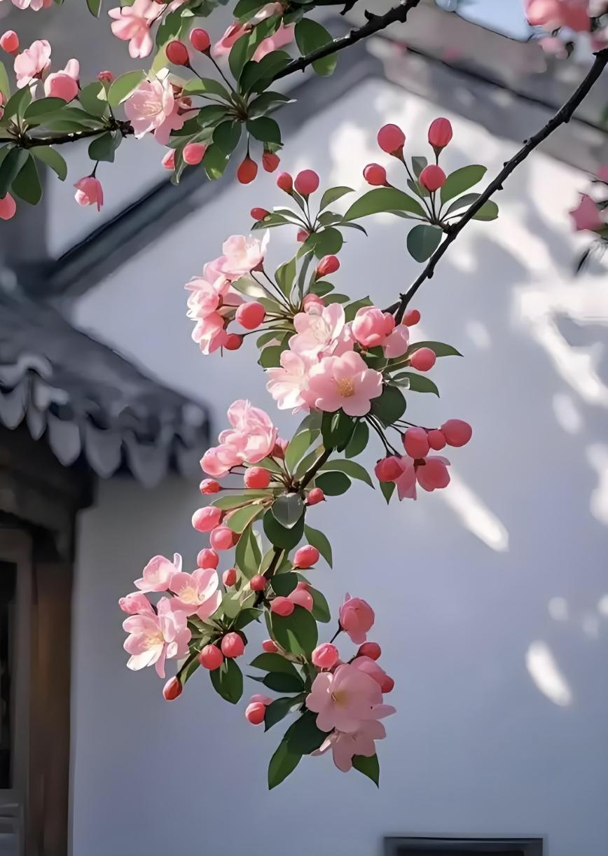 道家有个说法，叫“财不入急门”世人见横财，以为是天降馅饼。道家看横财，分明是