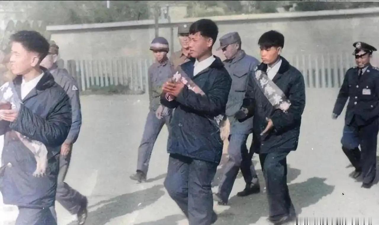 1966年1月，3名海军战士在杀害7名干部后，抢走一份关乎全党生死存亡的机密文件