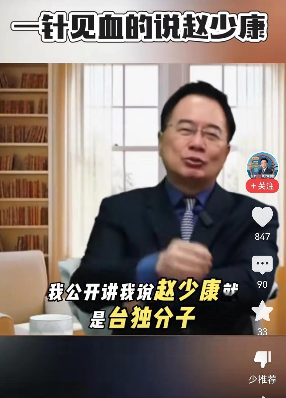 蔡正元公开指责赵少康是“台独分子”。其实在这次选举之前，就有很多人指责赵少康是