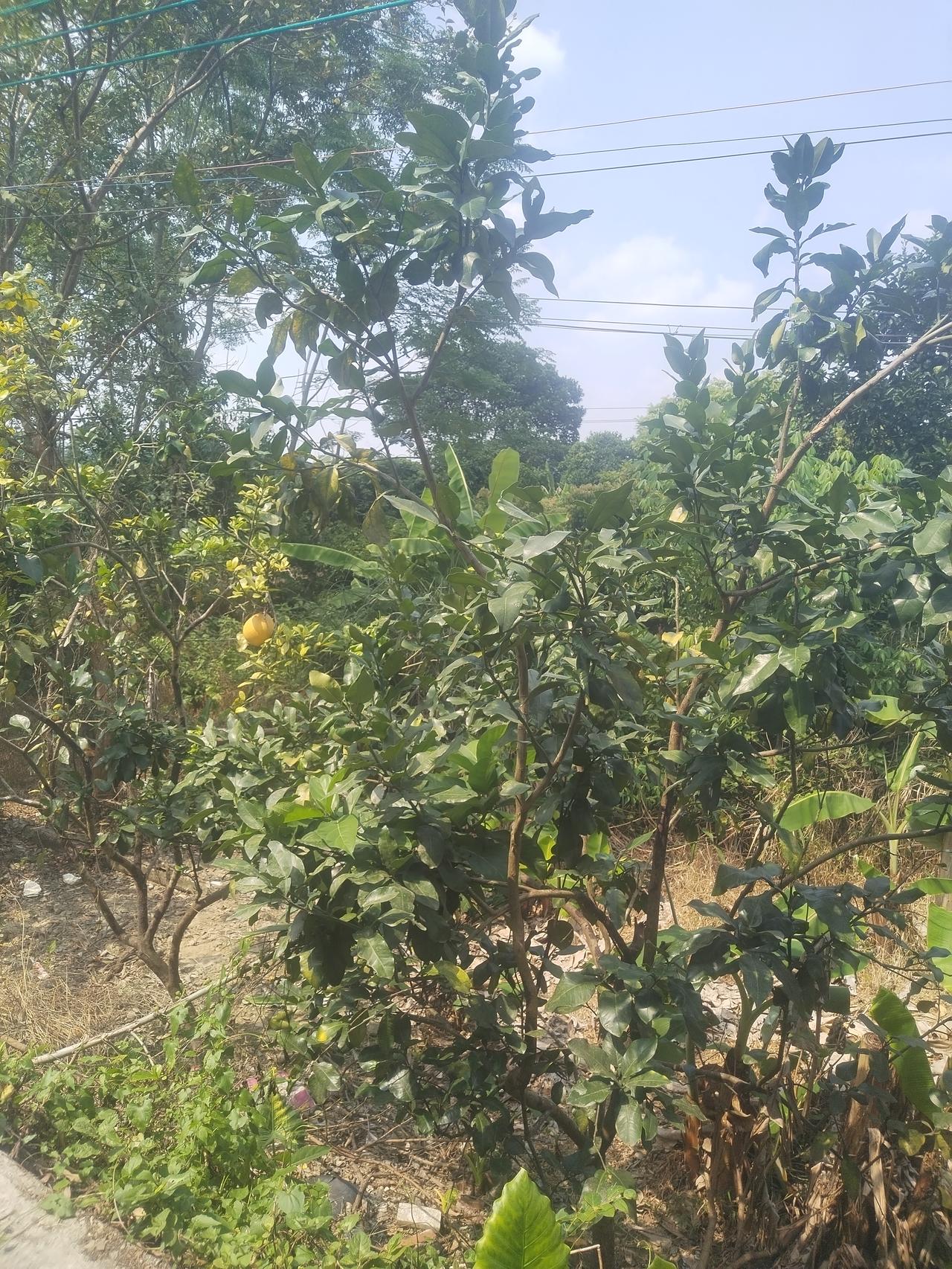 吃完午饭，老婆说要出去。我问她去哪里，她不说就往外走。我赶紧跟上去，说一起去。