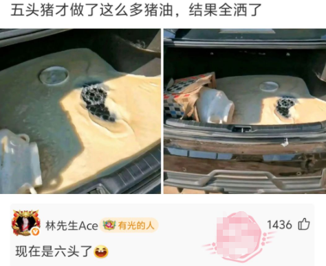 现在是六头了，哈哈