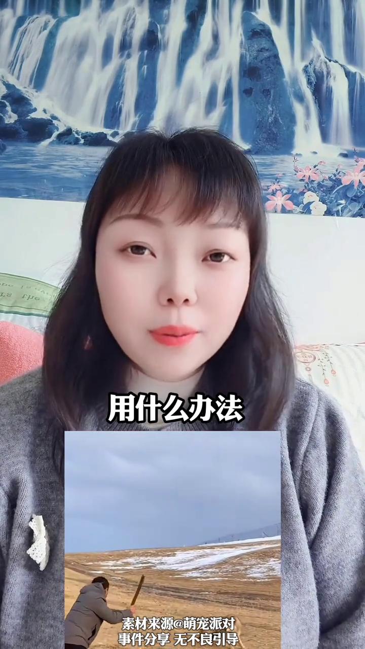 眼前这只警犬被母狼带着孩子找上门。萌宠派对。万万没想到眼前这只警犬为了尝尝爱