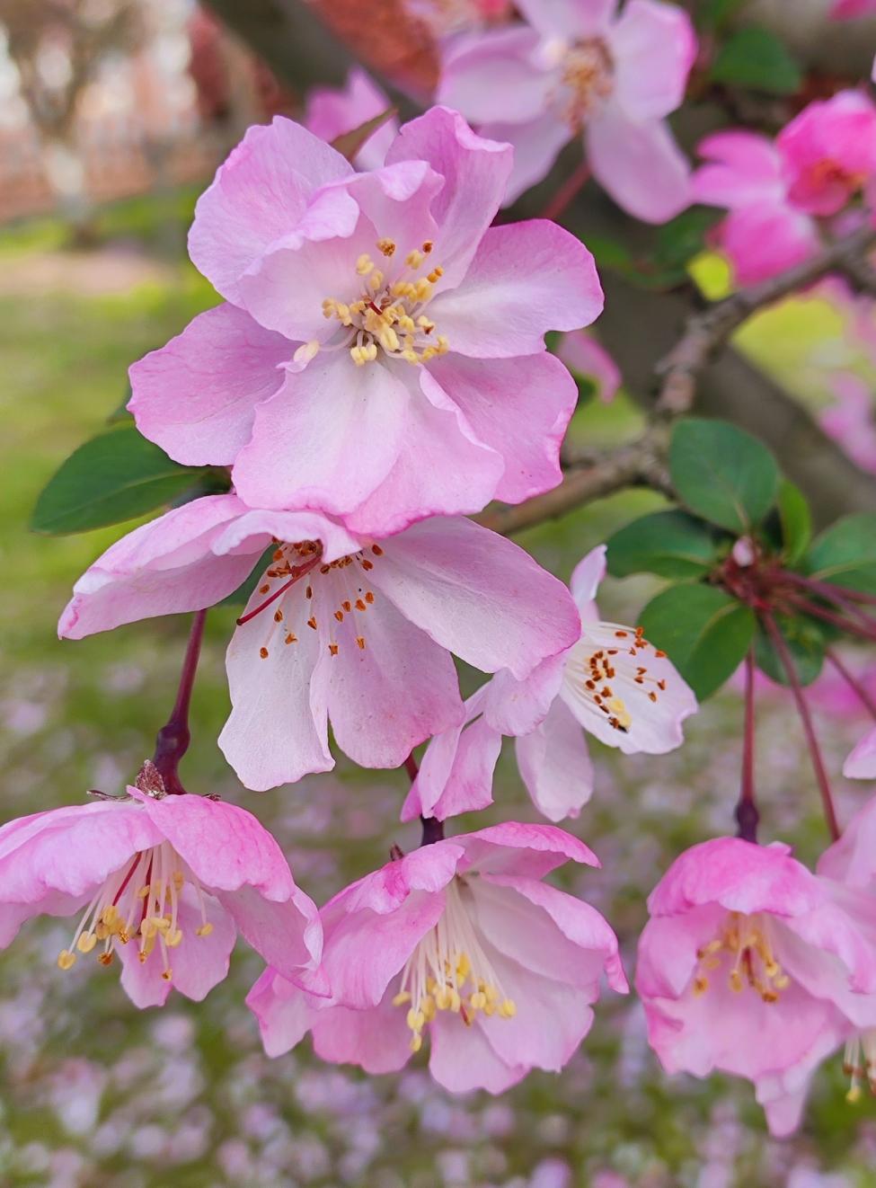 男人，寿命，藏在女人的眉间。男人大半生，都在学一件事——怎么挑，却挑不来，那个