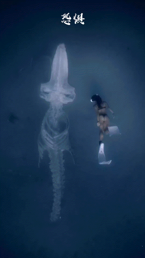 堪比外星生物