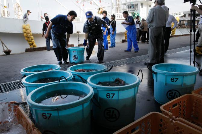 高市早苗收到噩耗，中国再停日本水产品进口，日方措手不及11月19日，日本政府