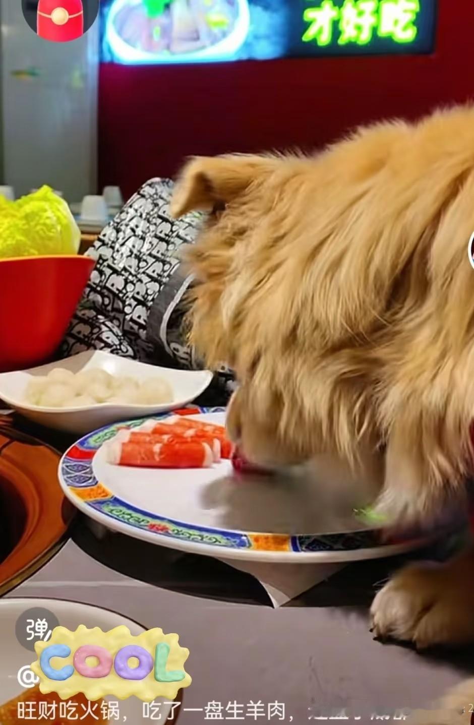 狗进涮肉店不是小事！铜锅飘狗毛，商家为流量丢了底线南门涮肉这次算是彻底把招牌