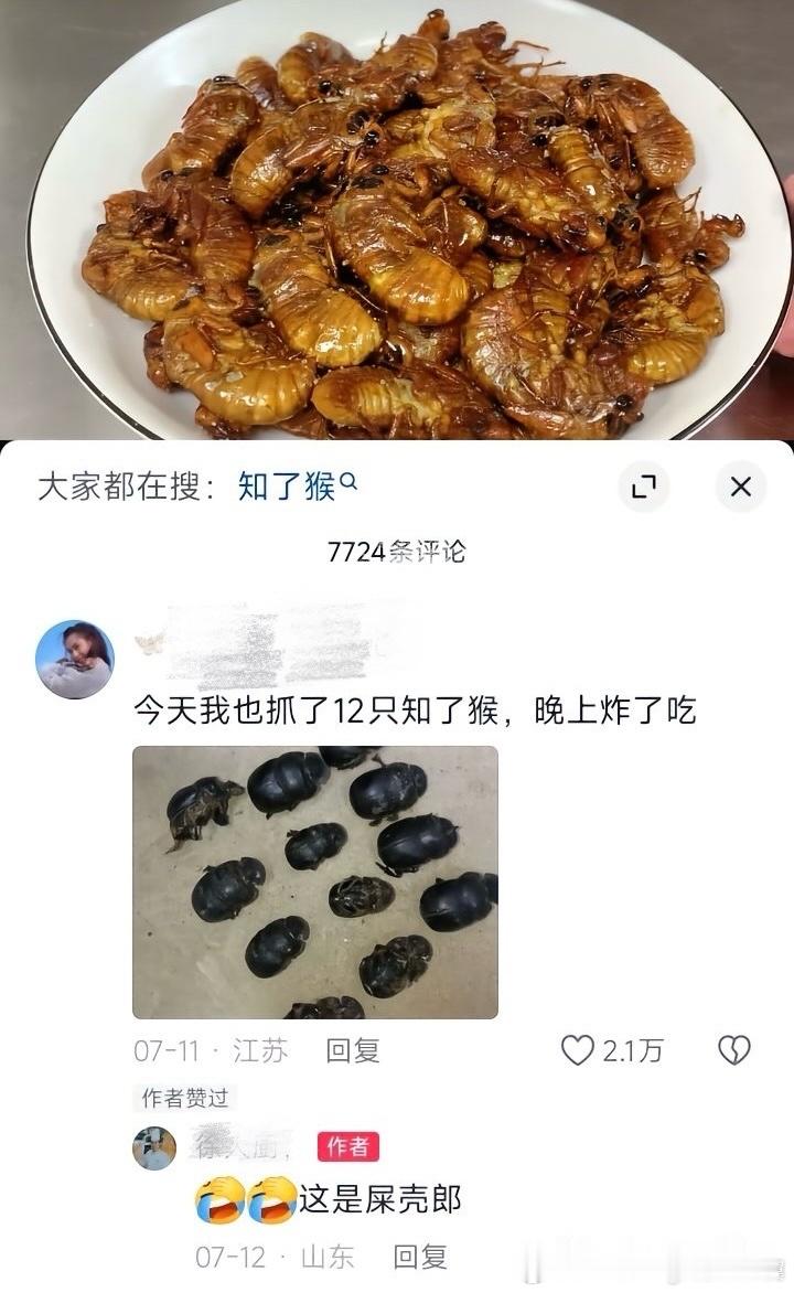 油炸屎壳郎？