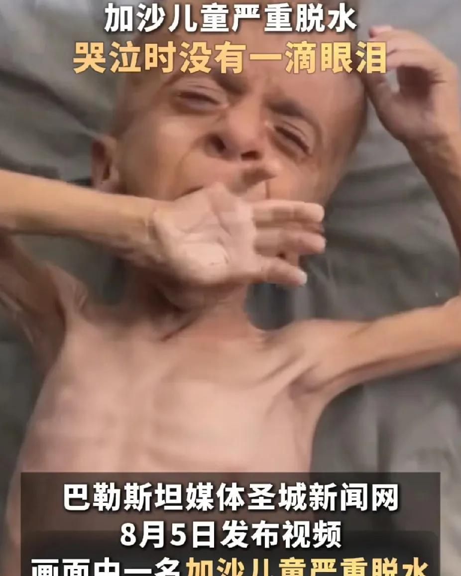 其实从另一个角度来看，以色列完全占领加沙对于加沙人民来说也是一种解脱。要不然现