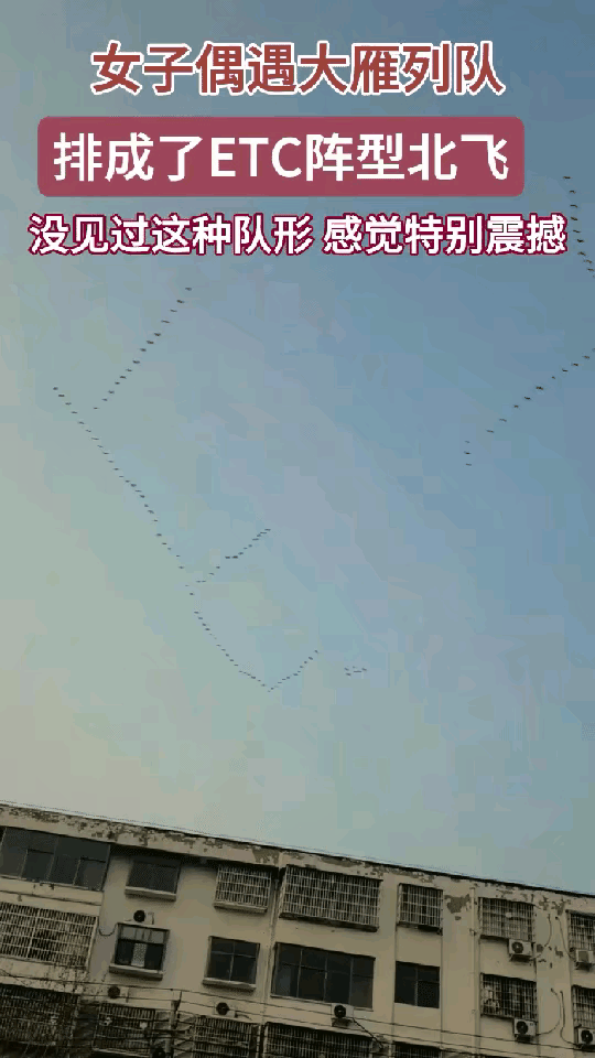 解释不清了，河南，一女子接孩子放学，发现有人指着天空，嘴里在说些什么，女子抬头一