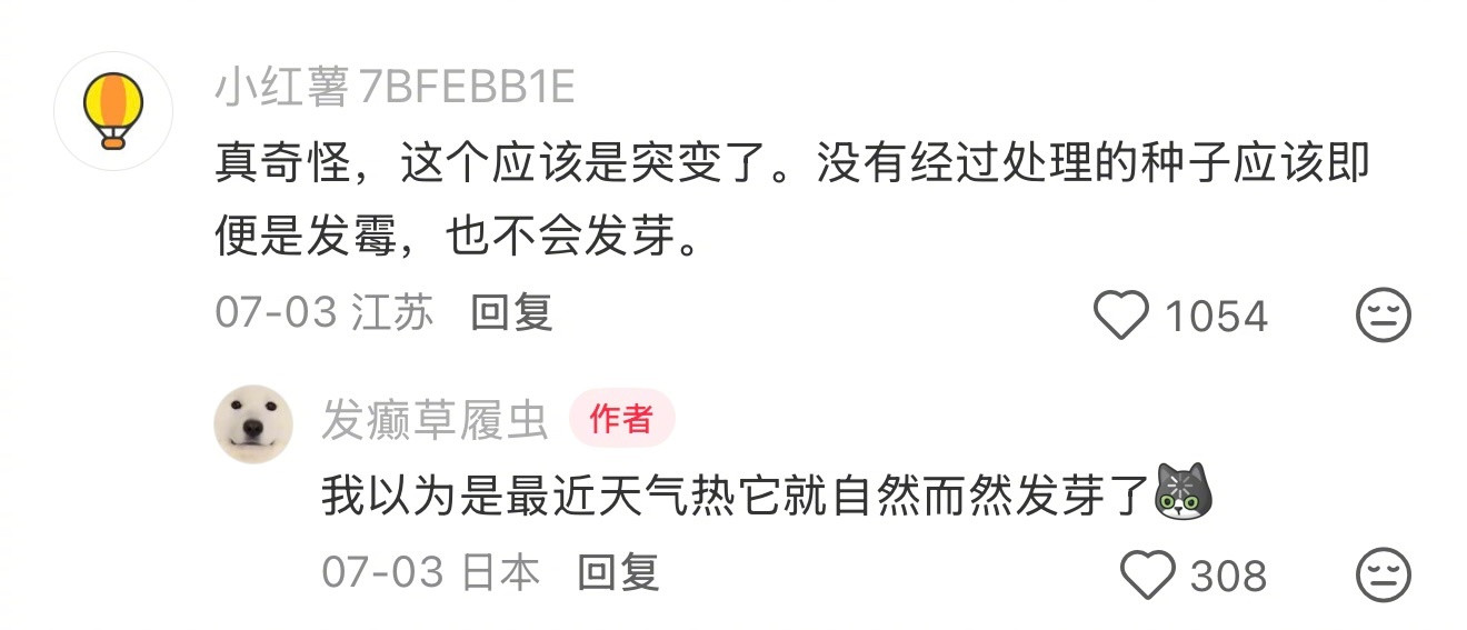这是我见过最有生命力的番茄这是我见过最有生命力的番茄生活趣事狂想曲​​​