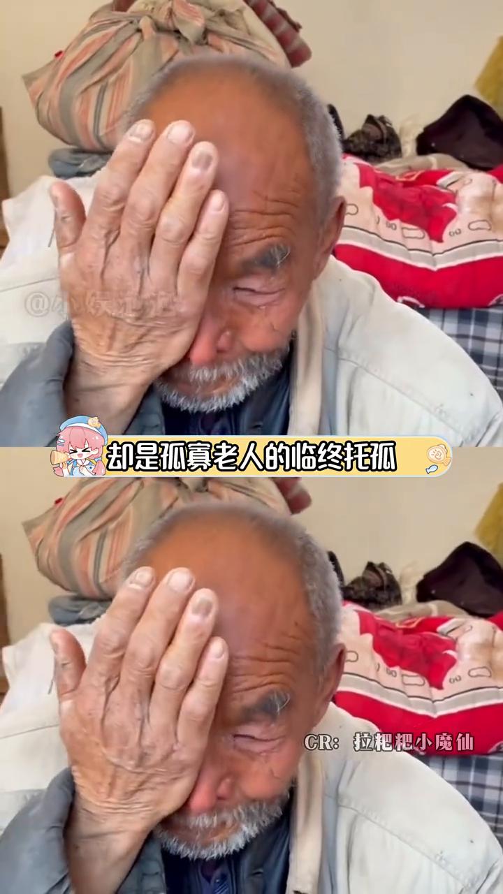 以为是冷漠弃猫，结果是老人的托孤。娱泡泡。可以是100，也可以是200，但它