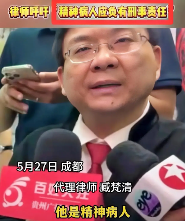 还得是律师，一针见血，道出了广大老百姓的心声：“难道有精神病的人命比没有精神病的