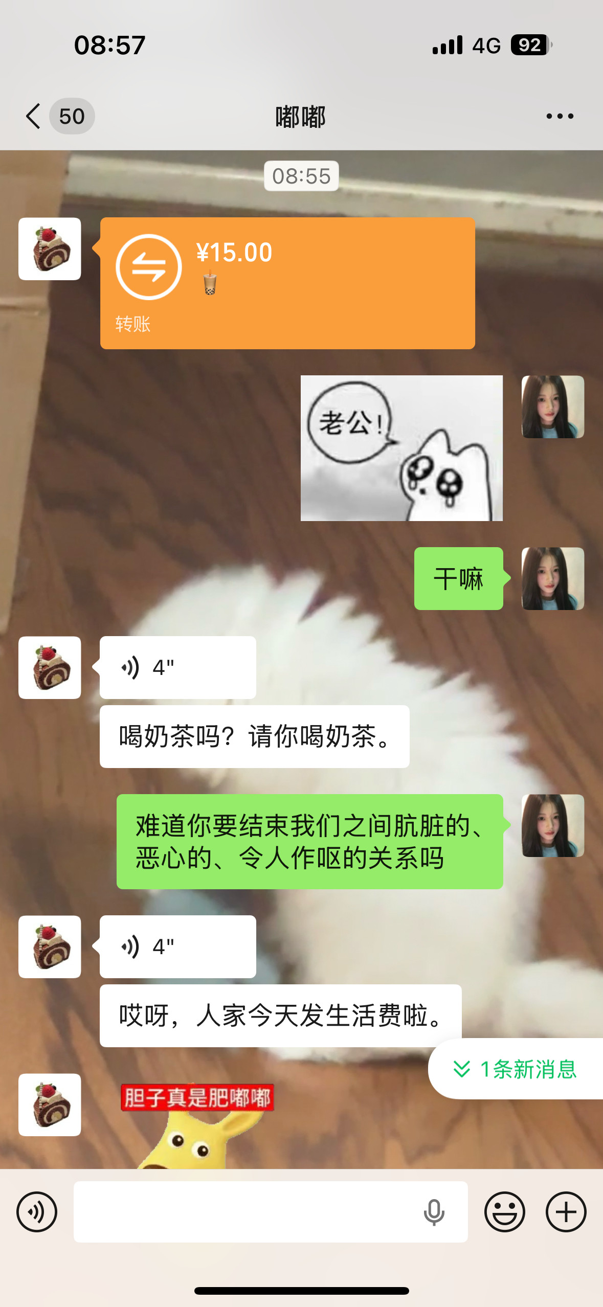🐰我家欧尼酱​​​