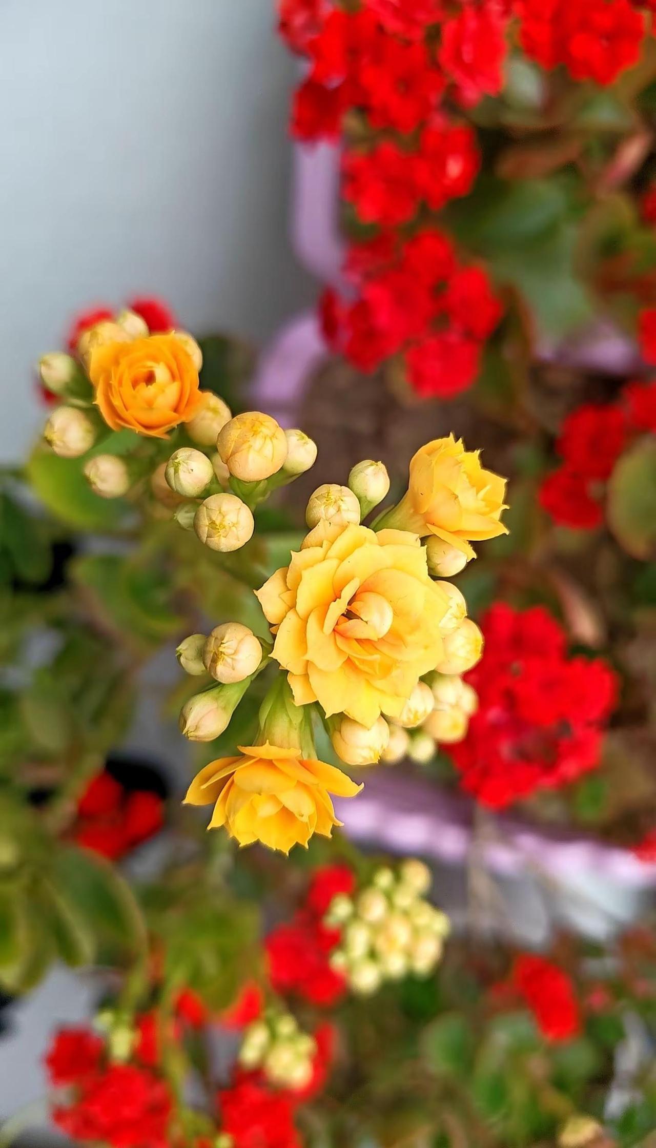 新的一年，新的开始。祝我们在新的一年少生气多赚人民币