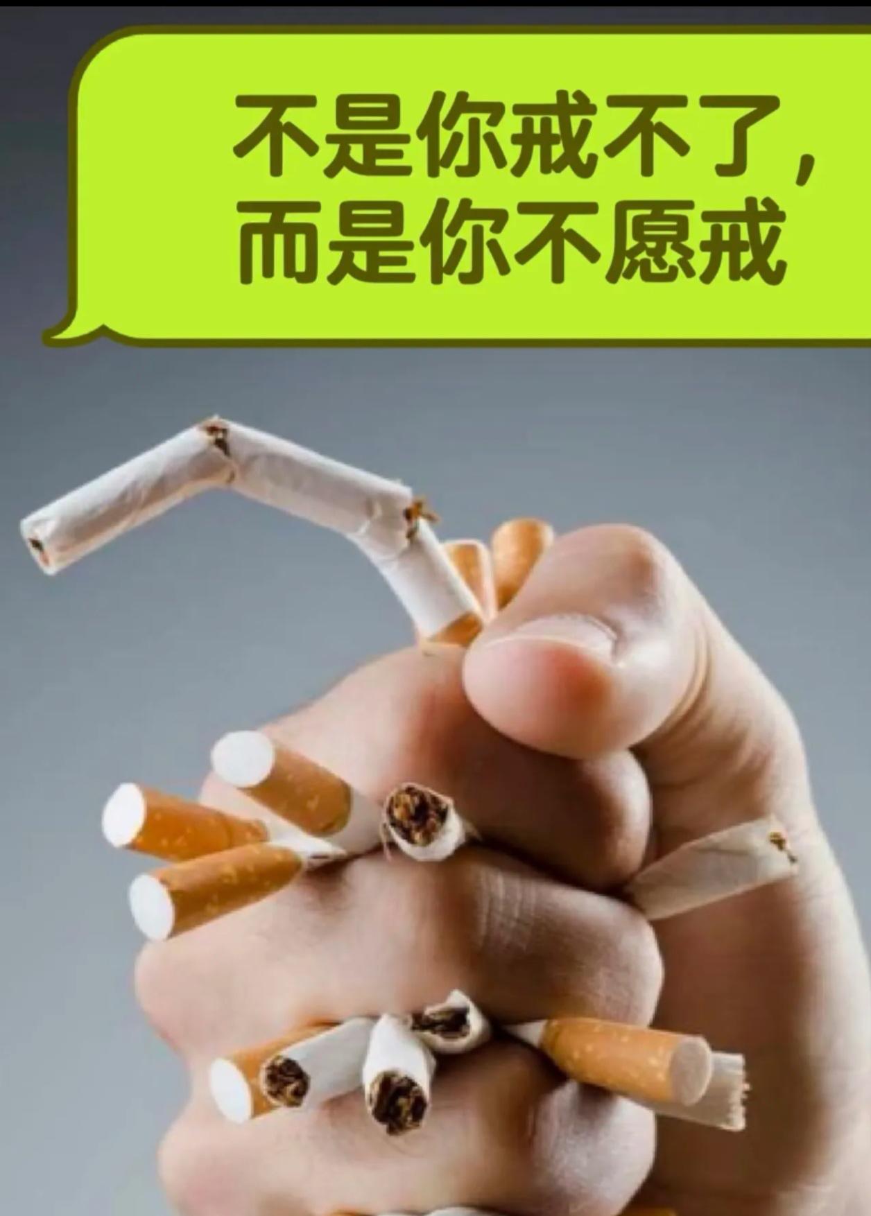 🚭别再让烟草绑架你的钱包和健康！💰算笔账：-最便宜的烟，一月也