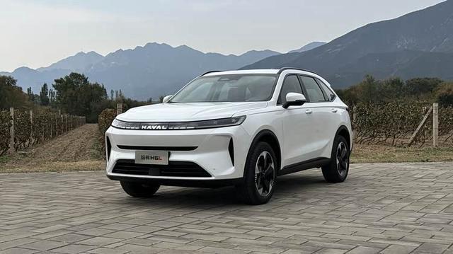 两种动力，限时10.39万起，哈弗H6L这价格，我反而觉得大狗和瑞虎8更有优势啊