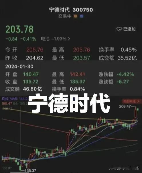 你敢相信吗？宁德时代上半年日均净赚1.7亿！它是新能源领域实现