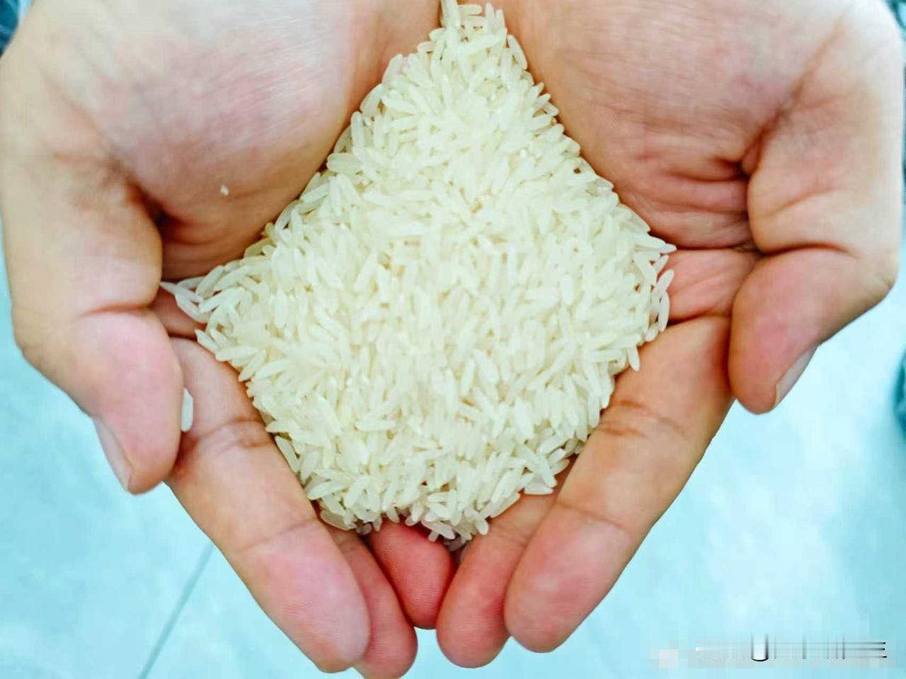 刚刚传来的消息，中方确认要买50万吨泰国大米了。这五十万吨大米，不是一个简