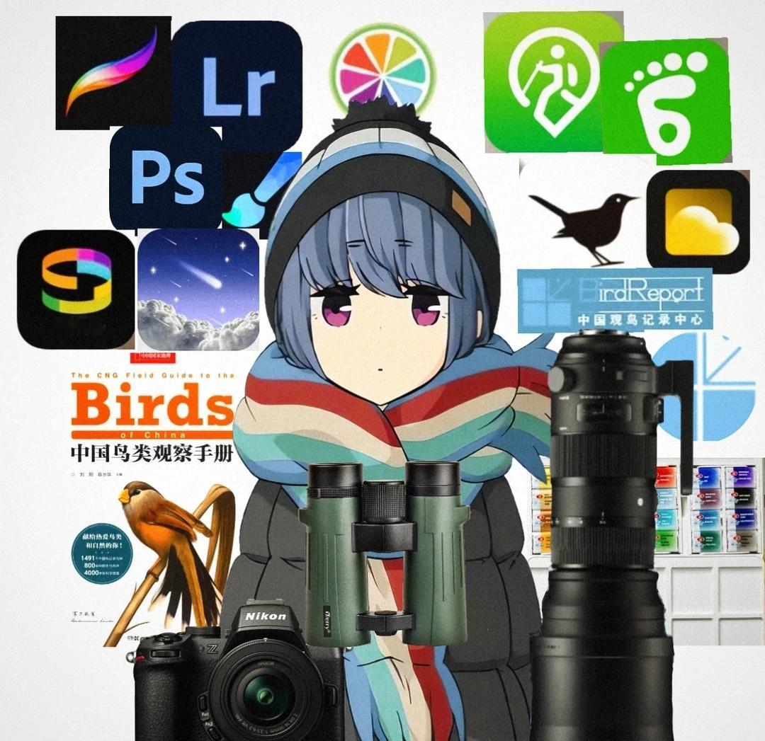 干嘛。。。。。。干嘛。。。。。。老大我们完蛋了喵。你说的对但是摇曳露营摇曳