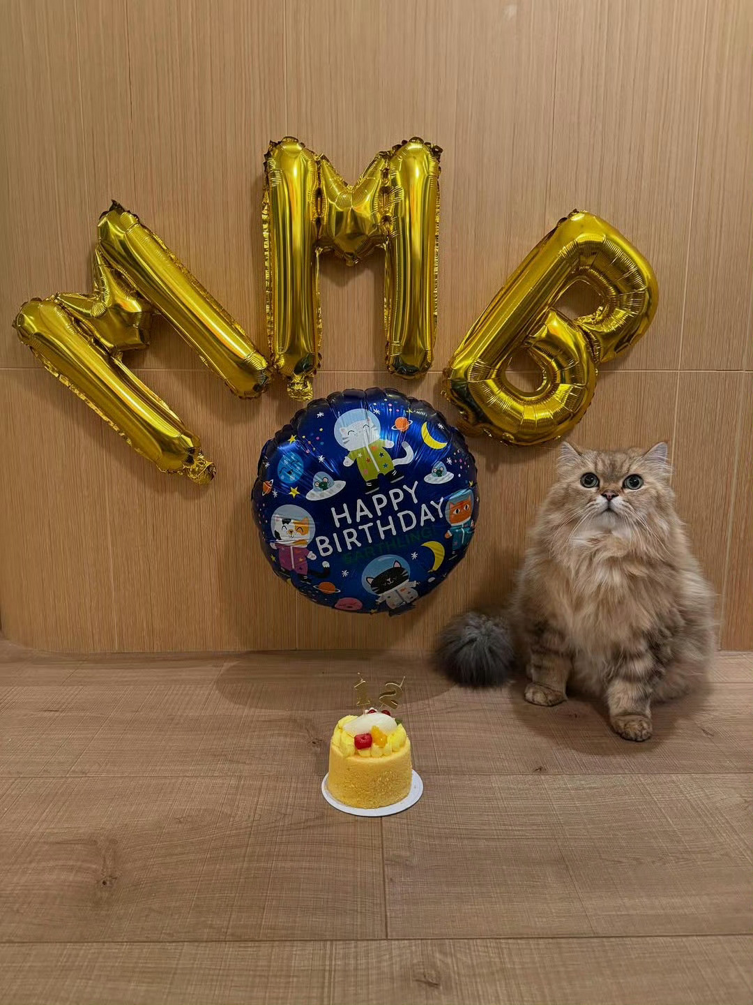 舒淇冯德伦帮猫小孩过生日舒淇晒猫猫生日照​​​好可爱的猫猫生日照​​​