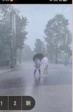 上海这场台风，反倒让迪士尼拍出了另一种画风。8月9日，受台风“白海豚”影响，上