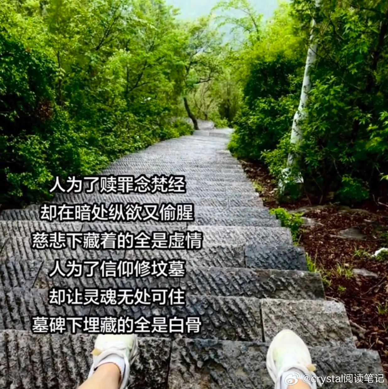 半仙半魔。肉莲花，阿姐鼓，高僧的眉心骨。