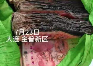 “天塌了！”辽宁大连，男子在出差之前，把家里的10万备用金放在了阳台，但他忘记了
