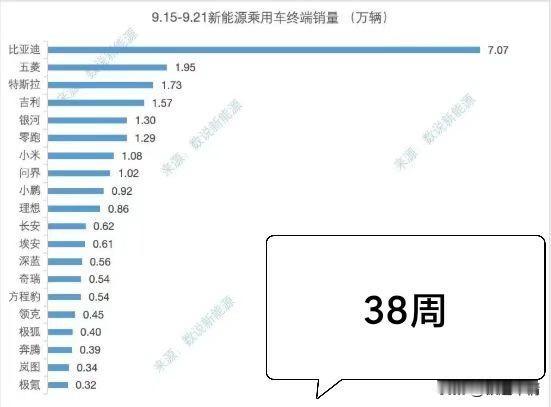 比亚迪：7.07万辆；五菱：1.95万辆；特斯拉:1.73万辆；吉