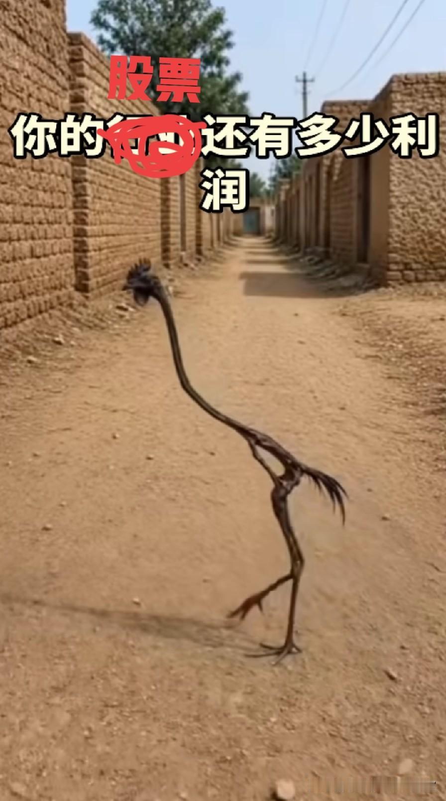 【不要再干预股市了】既然股市属于自负盈亏，每个人也知道这个风险和代价，那么就