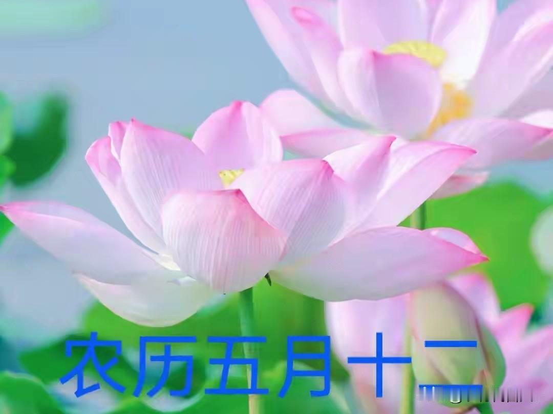 明日五月十二“天赦日”，谨记1不空2要满吃3样，为家人接福农历五月十二，是