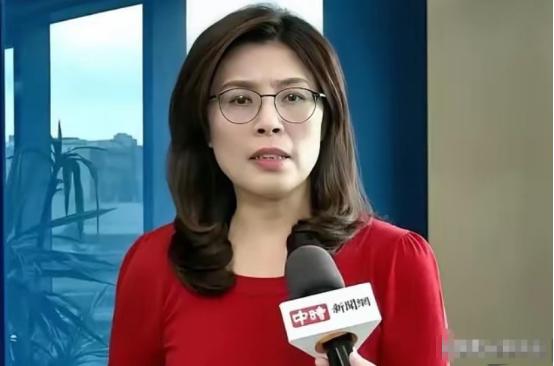 台湾问题再起波澜，高志凯驳郑丽文，统一真要2300万人点头？ 事情得从11月