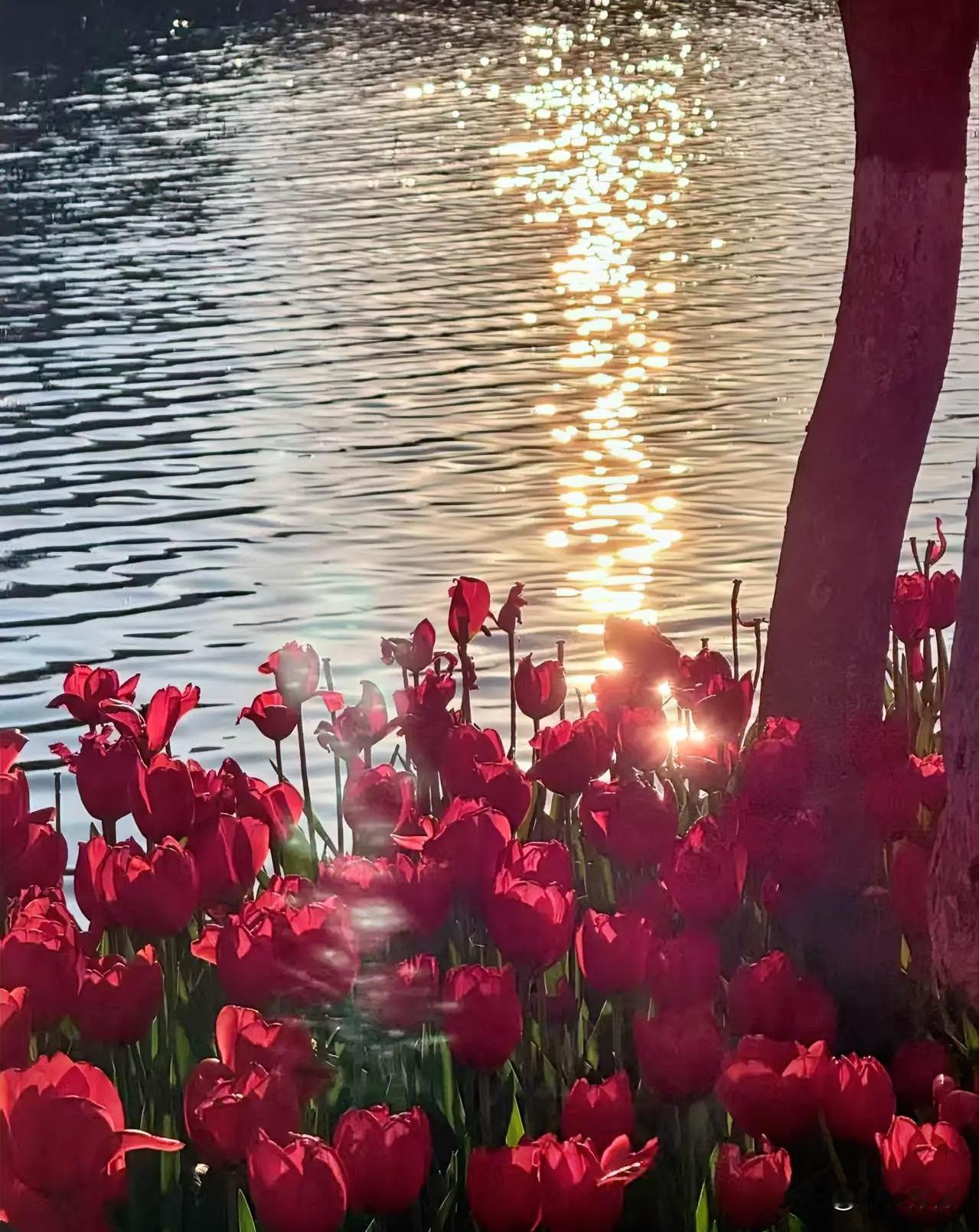 我姑姐，上海月嫂，一句话捅破富人餐桌的“天机”！你以为他们大鱼大肉？错了。