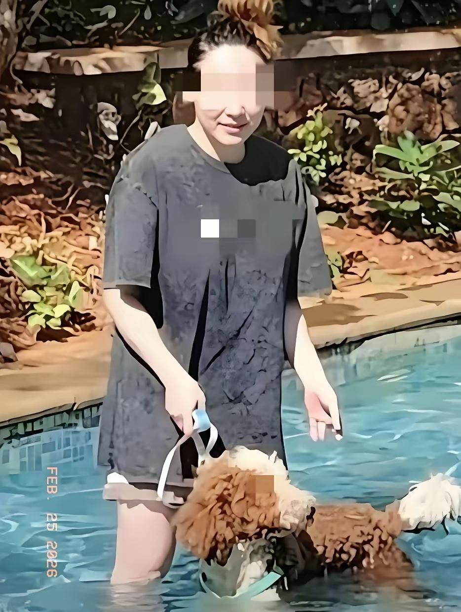 “专治各种不服！”海南三亚，一女子带着宠物狗去游泳，竟然在泳池给狗搓澡，可把其他