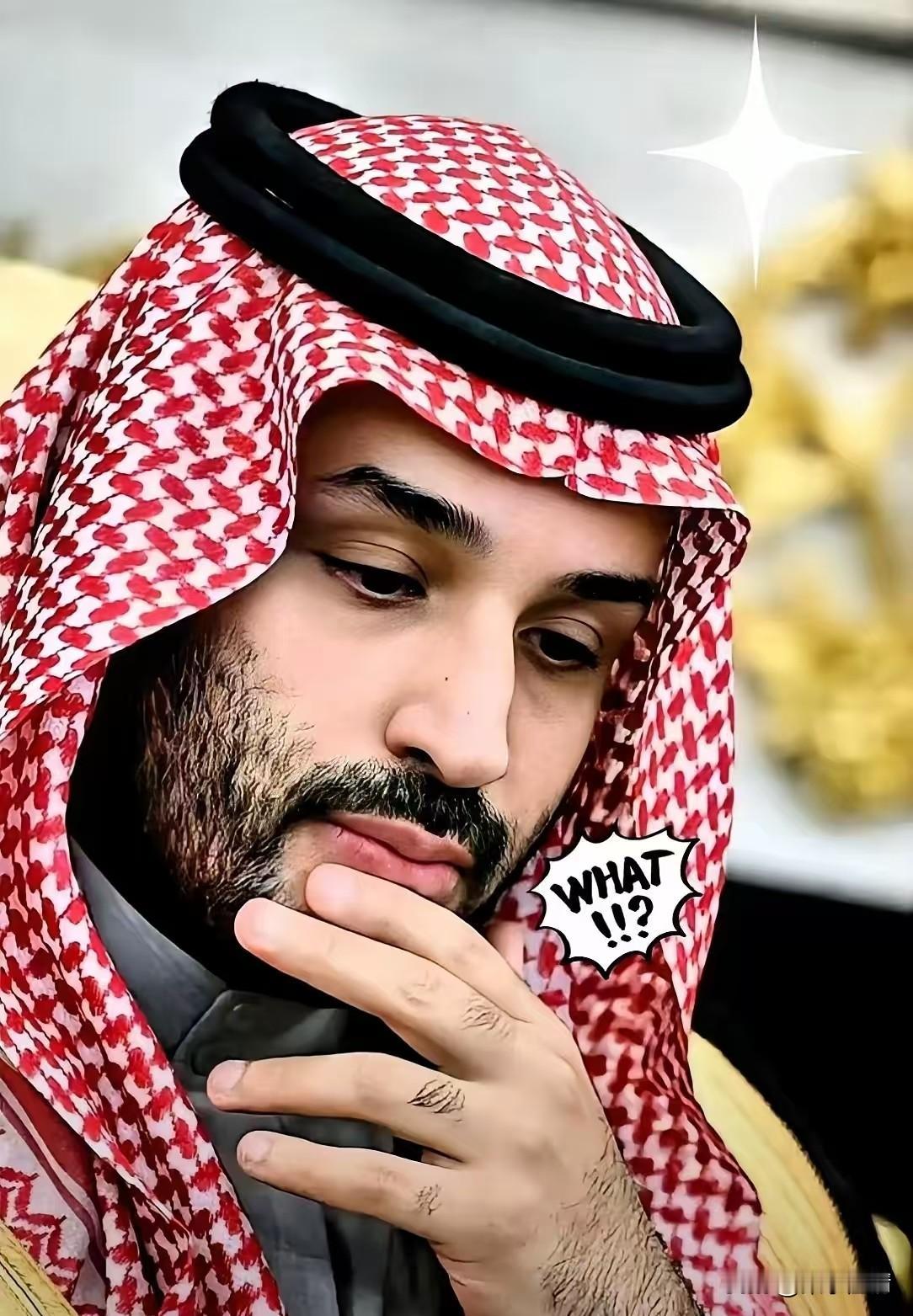 沙特这回是真把桌子给掀了。25艘超大油轮，满载5000万桶原油，完全不理会霍尔木