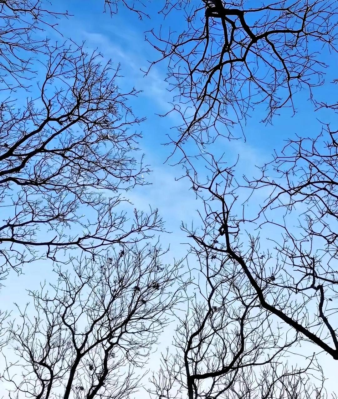 紧急通知大家提前做好心理准备再过3天，也就是从1月17号开始，大家可得悠着点