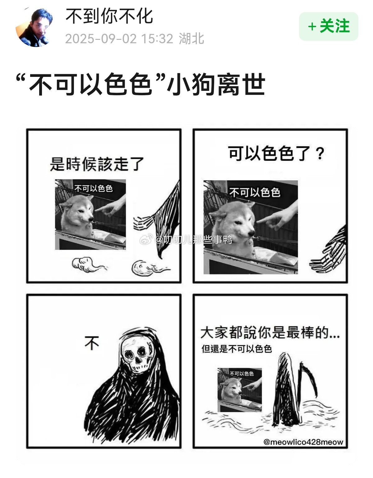 这只小狗离世啦！[单身狗][单身狗]​​​