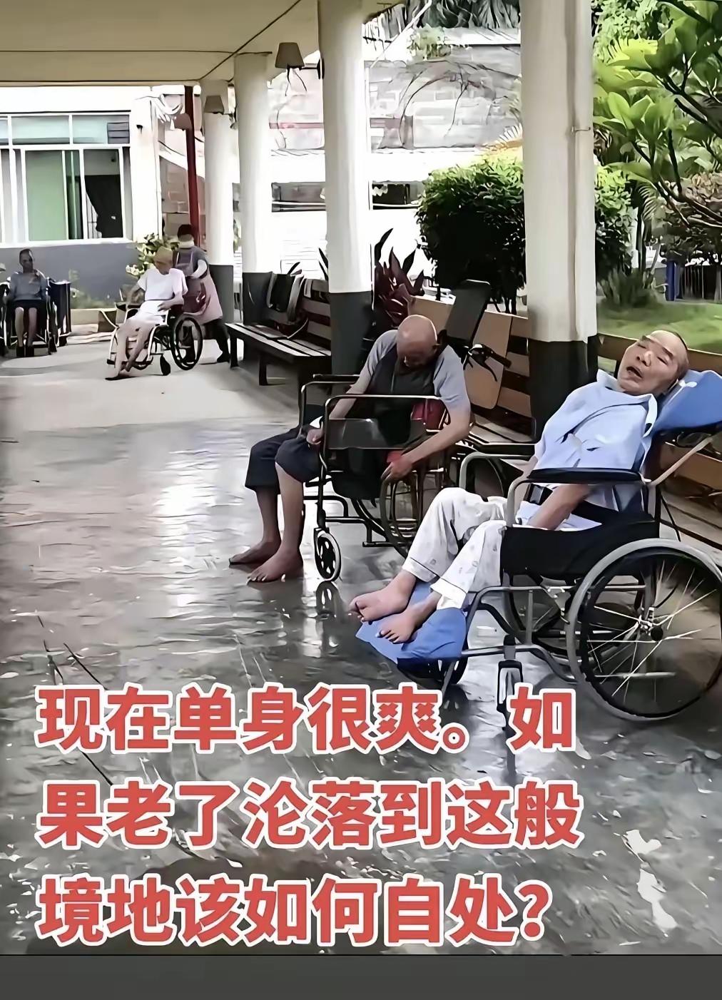 有子女也一样，赌孩子孝顺就和买彩票一样。作为子女过来人，应该最懂得这个道理[灵光