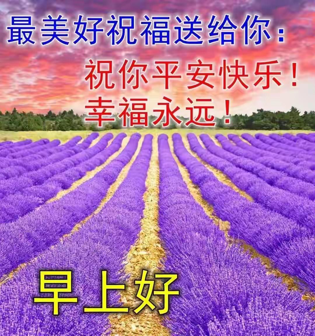 愿大家出门一路顺畅，做事顺风顺水，身体硬朗安康，心情天天晴朗！不管是忙着生计还是