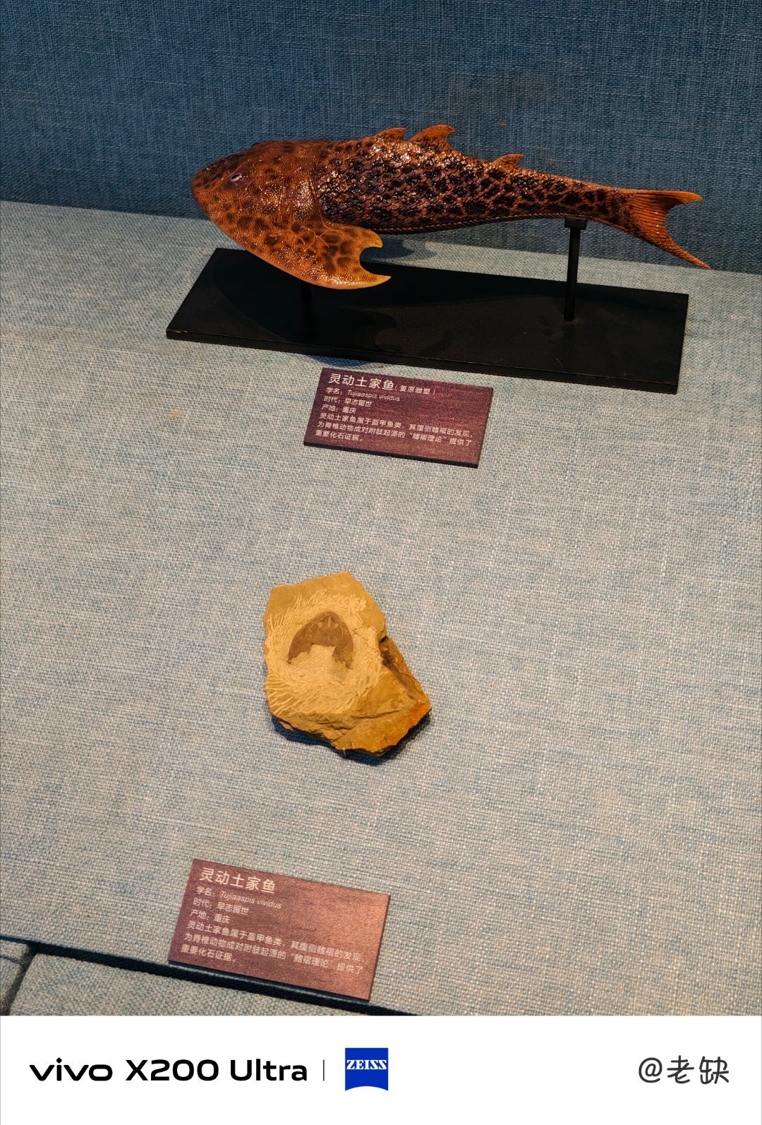看到土家，就想到酱香饼​​​