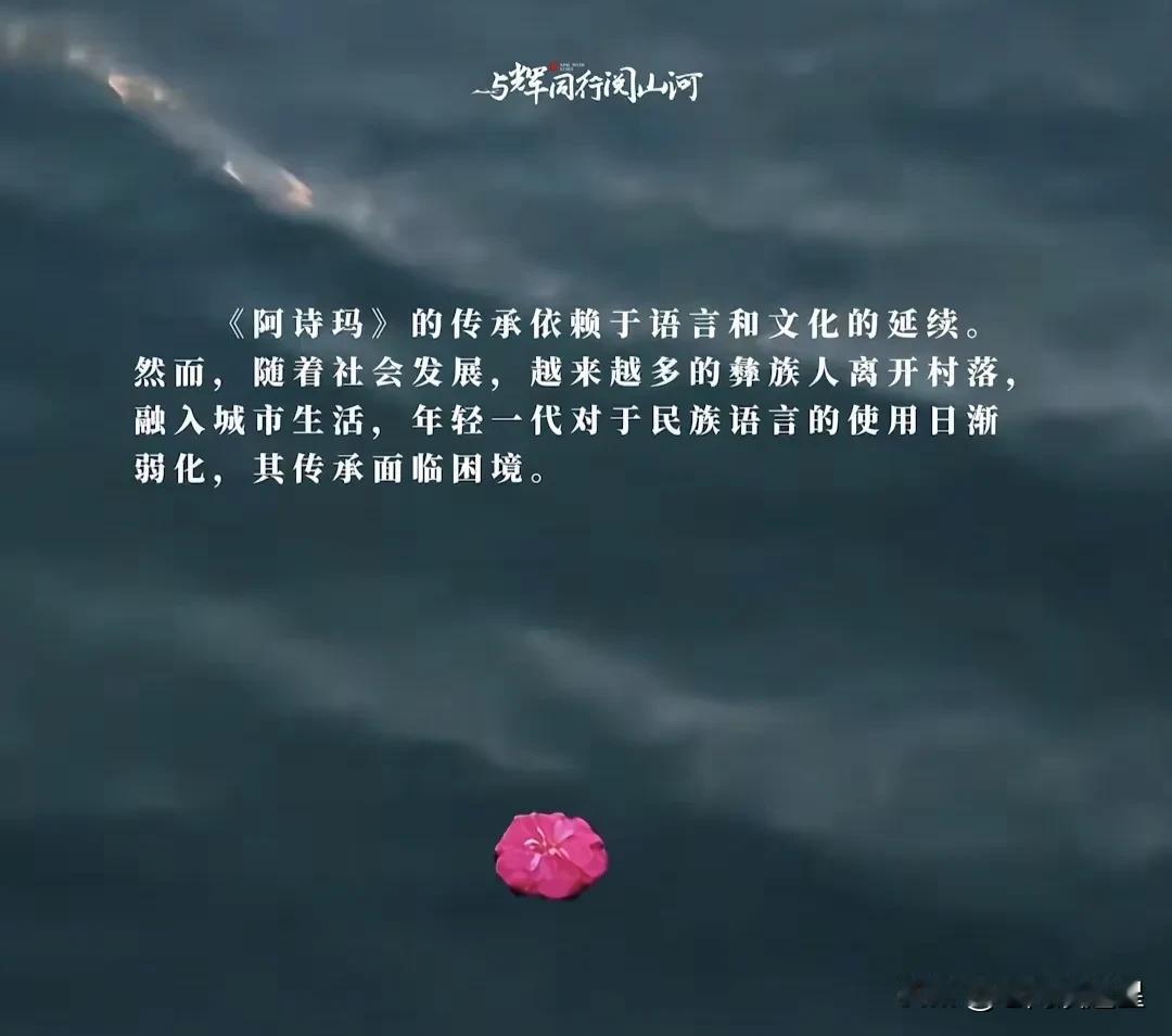 小编发了云南第四个宣传视频阿诗玛每一次的阅山河宣传片堪比央视大片文案、景色、