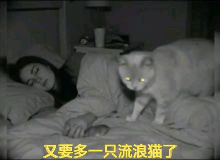 女子得了重感冒，每天发热烧的迷迷糊糊只是想睡觉，偶尔喝点水，吃什么都没有胃口。家
