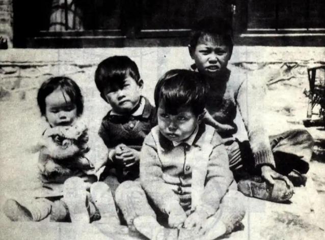 1935年,杨振宁和弟弟杨振平、杨振汉、妹妹杨振玉,一张罕见的合影,照片中的兄妹