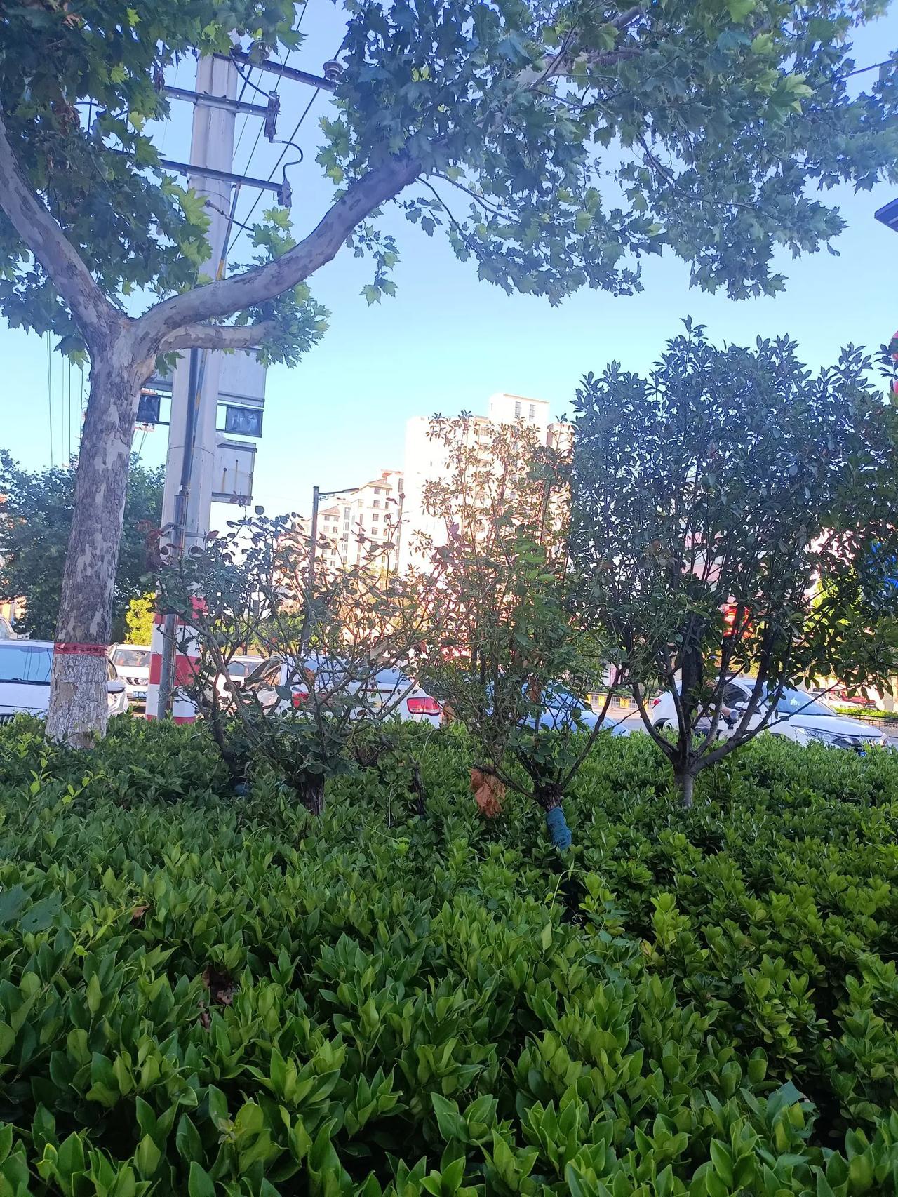 我们为了自己的舒服和乐享生活用上了各种电器也把路面硬化城市和乡村都变好了