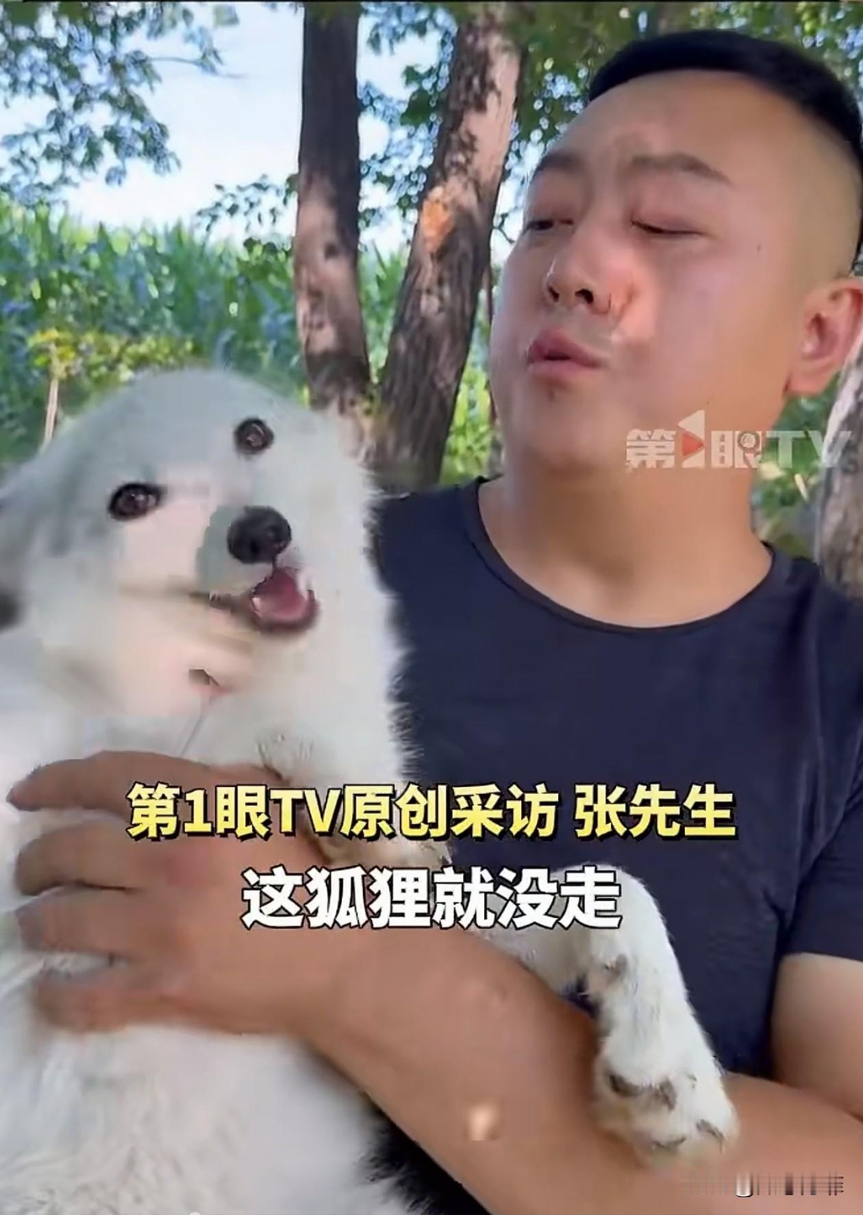 男子在10年前救了一只白狐，没想到之后白狐就不肯走了，甚至还生下了4代小狐狸，一