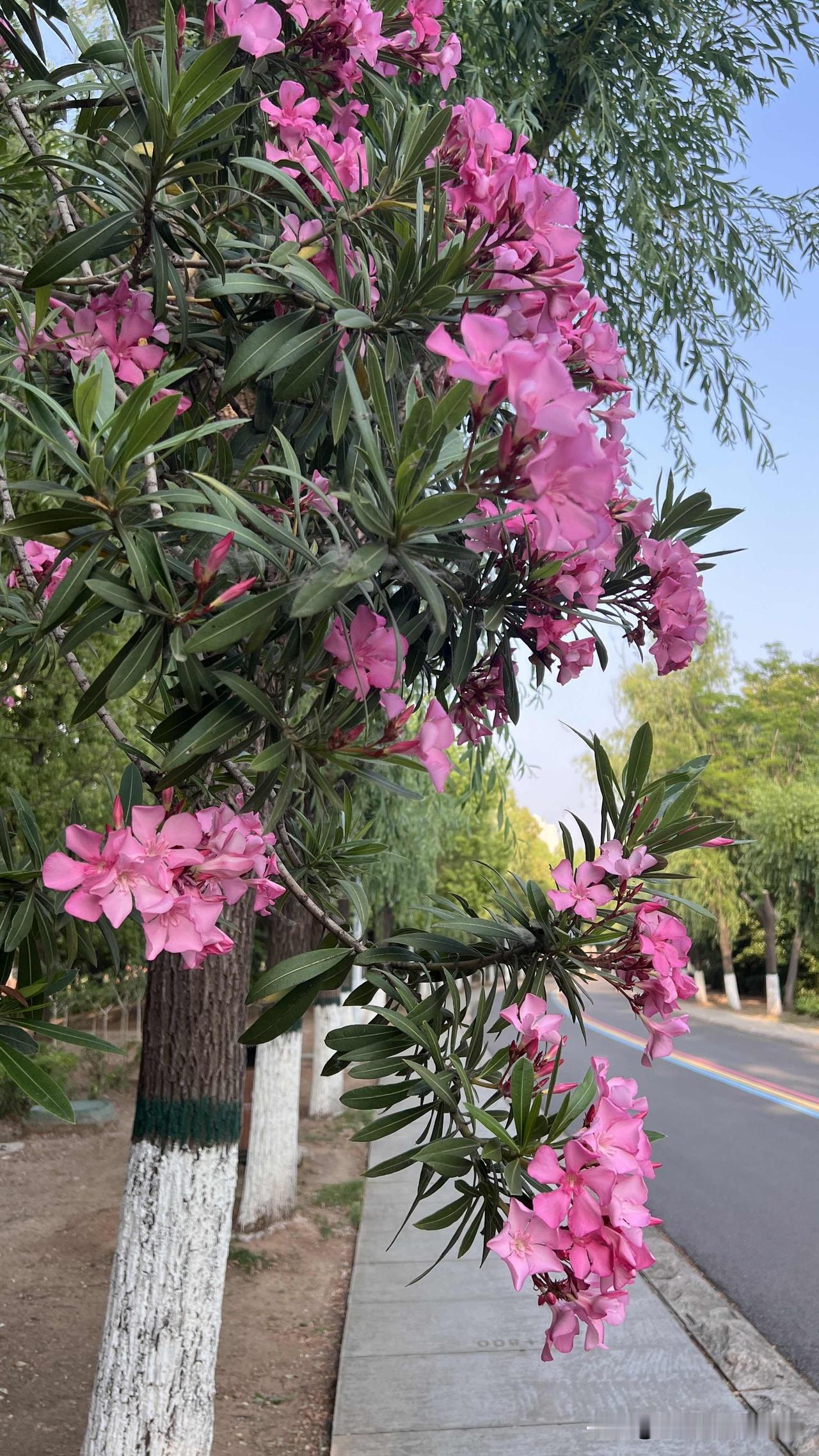 发现一个很有意思的现象，就是抖音、视频号、快手审核机制存在较大差别，同一视频审核