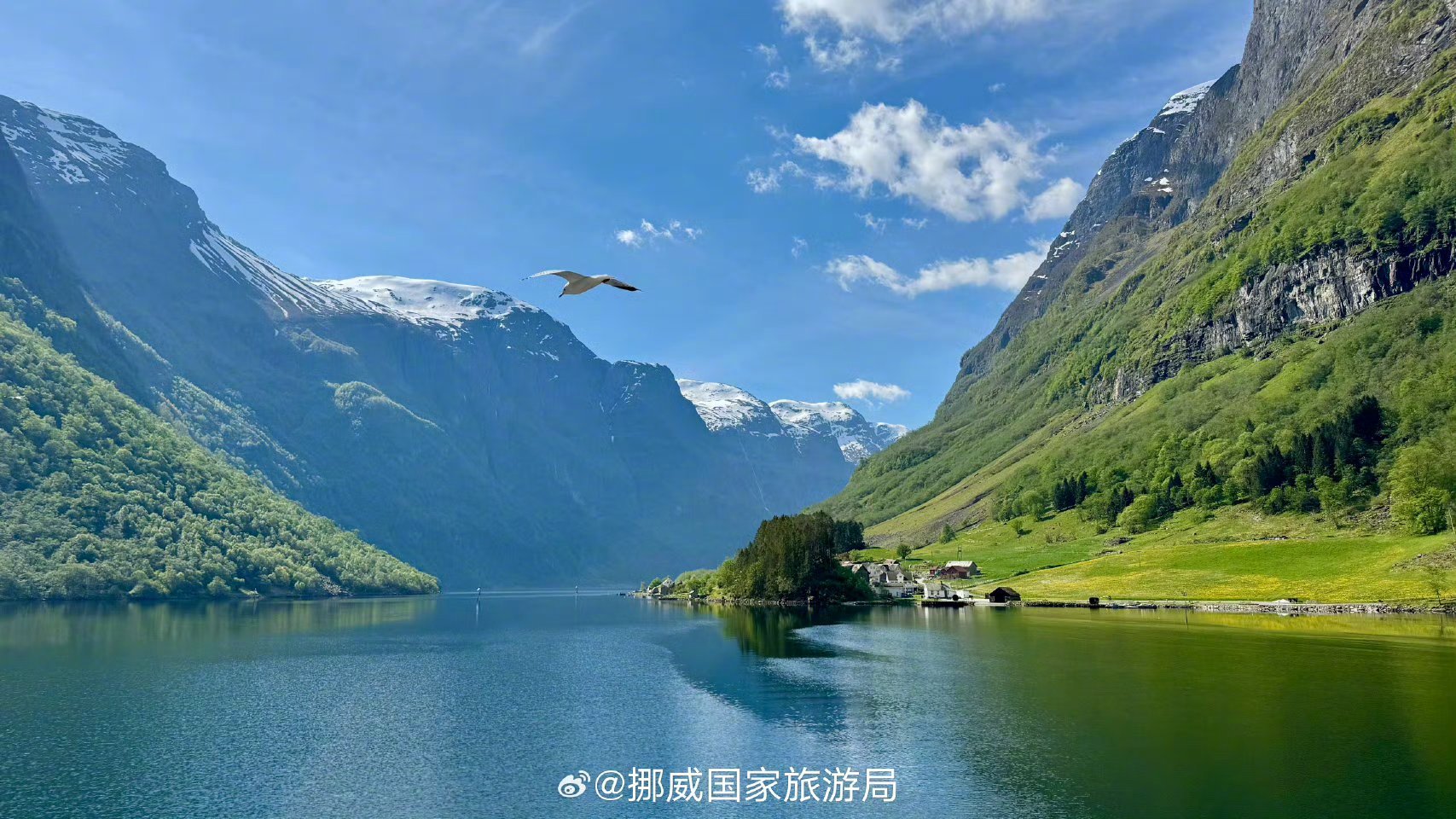 【这里是挪威】五月正值挪威的春季，漫山遍野的春色像大自然的调色盘。挪威语Vår既